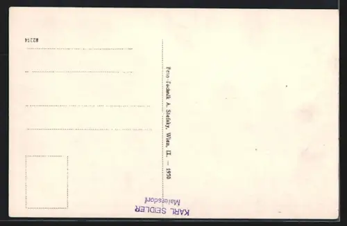 AK Hohe Wand, Alpengasthof Wandeckhaus von F. & A. Czerny