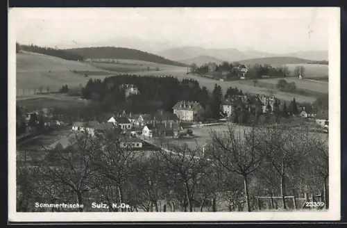 AK Sulz, Totalansicht aus der Vogelschau