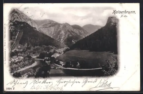 AK Kaiserbrunn /N. Ö., Ortsansicht mit Brücke und Bergpanorama aus der Vogelschau