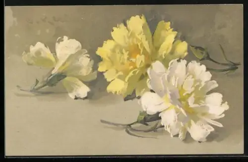 Künstler-AK Catharina Klein: gelbe und weisse Nelken