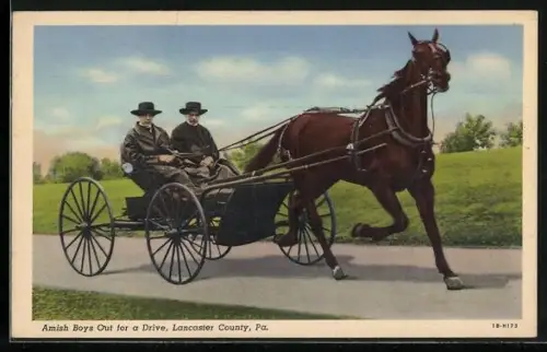 AK Amish Boys Out for a Drive, Lancaster County