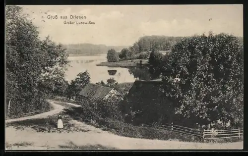 AK Driesen, Ortspartie mit Grosser Lubow-See