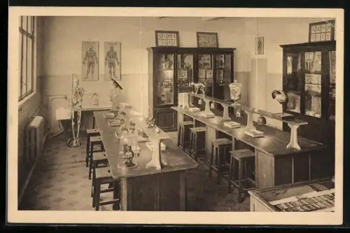 AK Nancy, Ecole Professionelle, Ecole Primaire Superieure, Laboratories de Sciences Naturelles
