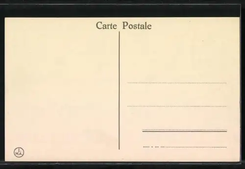 AK Istanbul, Roumeli-Hissar aus der Vogelschau