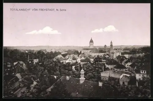 AK Freystadt, Totalansicht