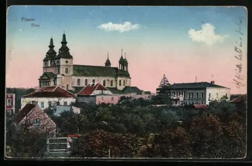 AK Posen / Poznan, Gesamtansicht vom Dom