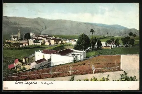 AK Gran Canaria, S. Brigida