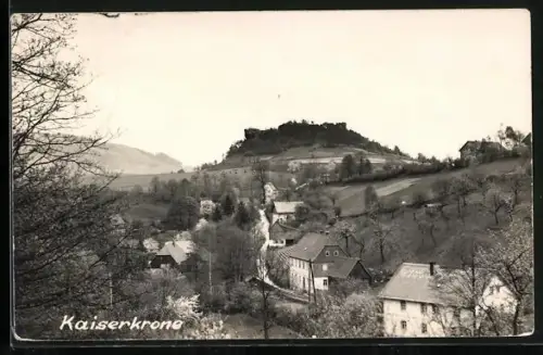 AK Schöna / Sächsiche Schweiz, Blick auf die Kaiserkrone