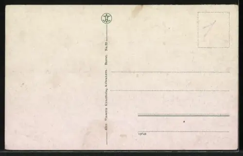 AK Dronninglund /Jylland, Schloss