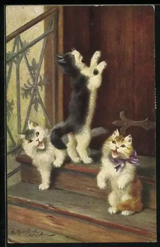 Künstler-AK Drei kleine Katzen vor einer Haustür