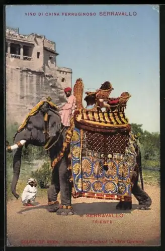 AK Geschmückter Elefant mit Sänfte und Führer mit Turban