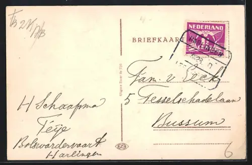 AK Rie bij Harlingen, Panorama