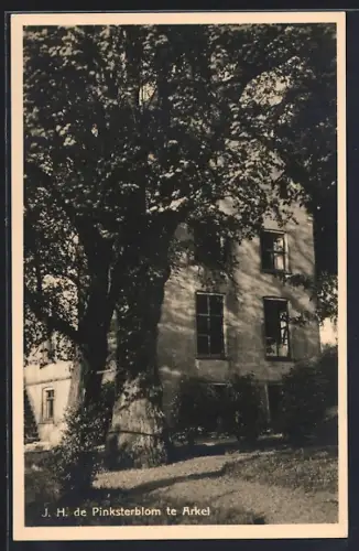 AK Arkel, J. H. de Pinksterblom