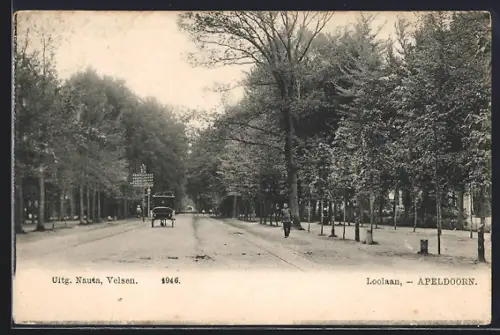 AK Apeldoorn, Loolaan