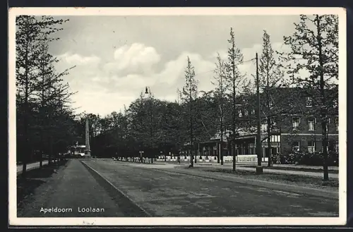 AK Apeldoorn, Loolaan