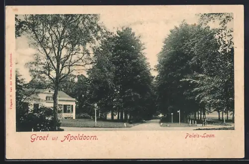 AK Apeldoorn, Paleis-Laan