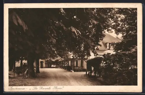 AK Leuvenum, Hotel De Zwarte Boer unter Bäumen