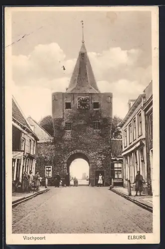 AK Elburg, Vischpoort