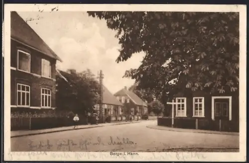 AK Berge i. Hann., Strassenansicht mit Wohnhäusern und Bäumen