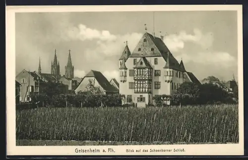 AK Geisenheim a. Rh., Blick auf das Schönborner Schloss