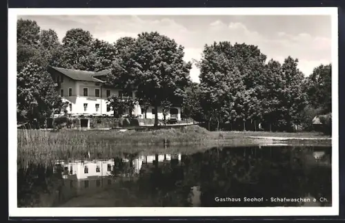 AK Schafwaschen a. Ch., Gasthaus Seehof