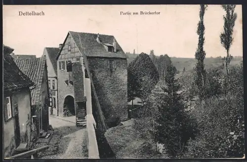 AK Dettelbach, Partie am Brückertor