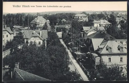 AK Dresden-Weisser Hirsch, Blick vom Turm des Luisenhofes auf Villen und Strassen