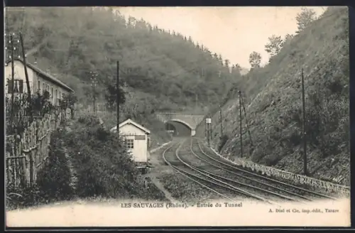 AK Les Sauvages /Rhône, Entrée du Tunnel
