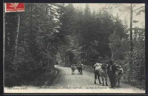 AK Les Écharmeaux /Rhône, Les Bois de Propières avec troupeau de vaches sur la route forestière