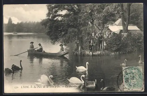 AK Lyon, Le Parc de la Tête d`Or, La Buvette et les cygnes sur le lac