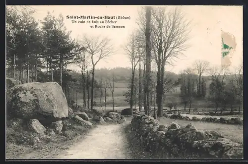 AK Saint-Martin-en-Haut /Rhône, Un coin de bois au Pécher et Roche de Samson