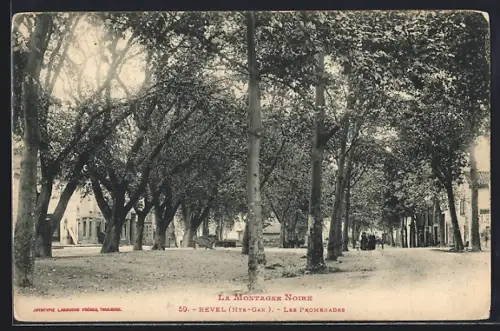 AK Revel /Hte-Gar., Les Promenades sous les arbres majestueux