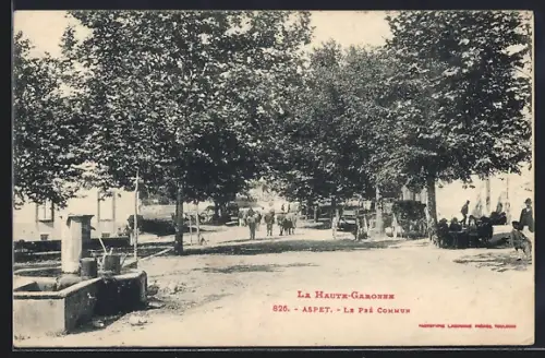 AK Aspet /Haute-Garonne, Le Pré Commun avec fontaine et arbres ombragés