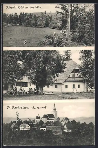 AK Gratwein-Strassengel, Plesch, Waldpartie, Gasthaus Pleschwirt und St. Pankratzen