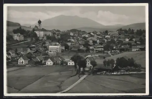 AK Lam /Bayr. Wald, Ortsansicht mit Hohenbogen