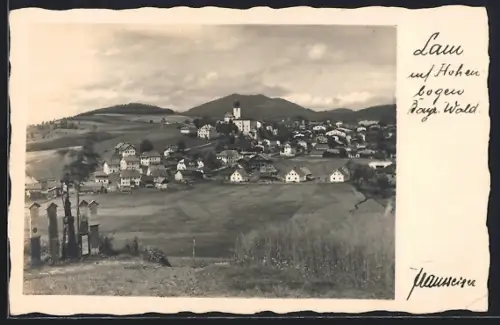AK Lam /Bayer. Wald, Ortsansicht mit Hohenbogen