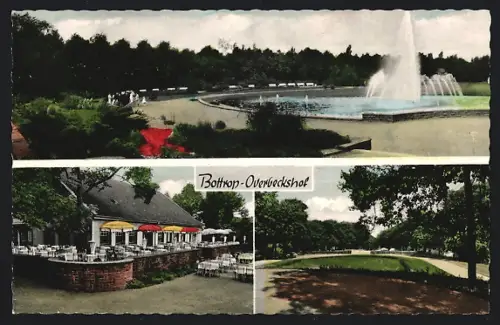AK Bottrop-Overbeckshof, Springbrunnen, Parkanlage, Terrassencafé