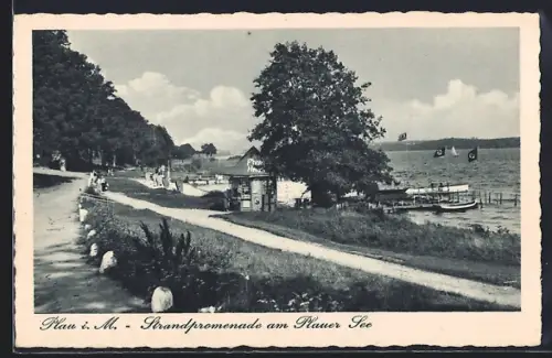 AK Plau i. M., Strandpromenade, Plauer See