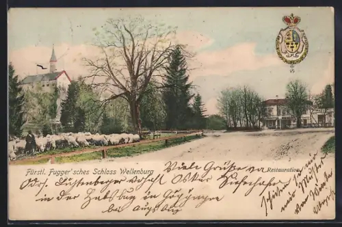 AK Wellenburg, Fürstl. Fugger`sches Schloss, Restauration, Wappen