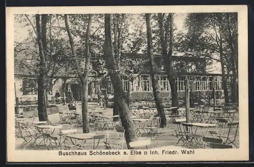 AK Schönebeck / Elbe, Terrasse der Gaststätte Buschhaus, Inh. Friedr. Wahl