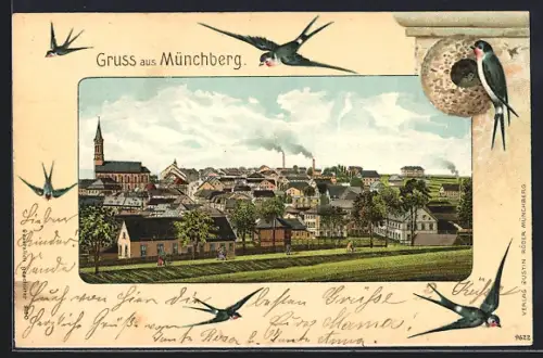 Passepartout-Lithographie Münchberg, Ortspanorama mit Schwalben