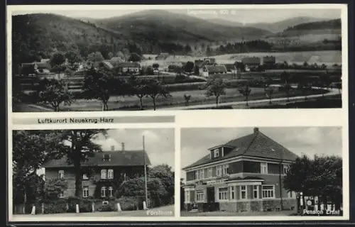 AK Neuekrug /Harz, Panorama mit Lageswarte, Pension Ernst, Forsthaus