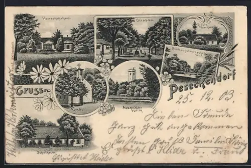 Lithographie Peseckendorf, Schulhaus, Strasse, Herrschaftshaus