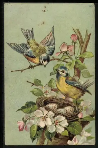 Präge-AK Meisenpaar am Gelege in einem Rosenstrauch