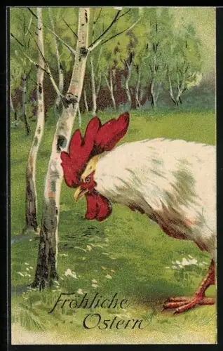 AK Fröhliche Ostern, Hahn in Birkenhain