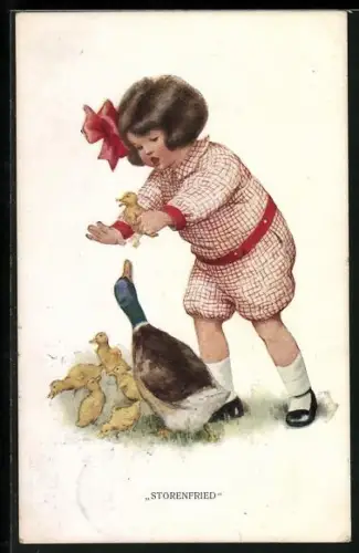 AK Störenfried, Kind trennt Entenküken von der Mutter