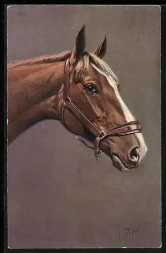 Künstler-AK Bildnis eines Pferdes mit brauem Fell und weisser Stirn und Nase