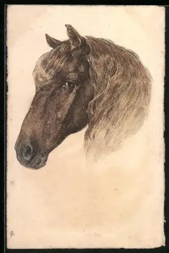AK Pferdekopf, Portrait