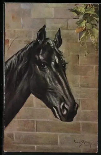 AK Schwarzes Rassepferd vor einer Backsteinwand
