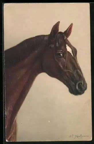 AK Rassepferd mit Blesse, Portrait